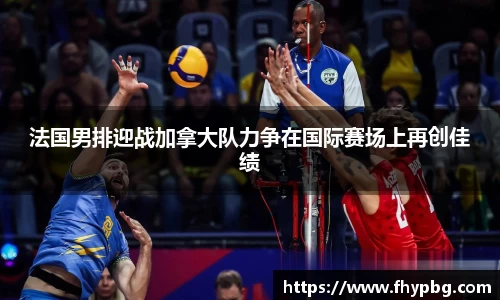 BB贝博登录入口