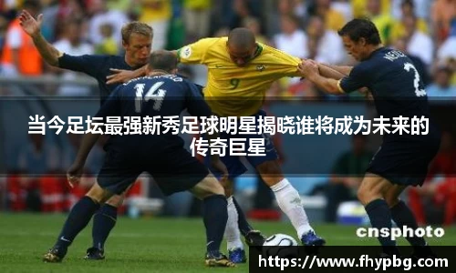 BB贝博登录入口