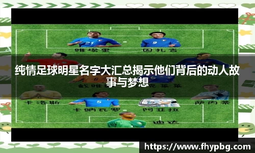 BB贝博登录入口